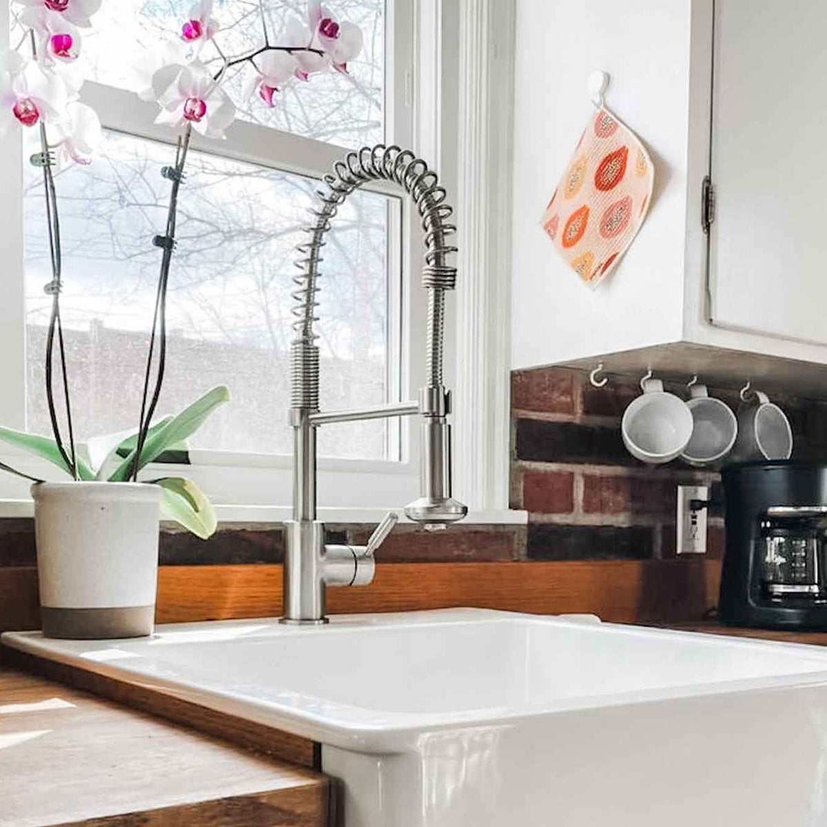 10090774-papaya-reusable-paper-towel